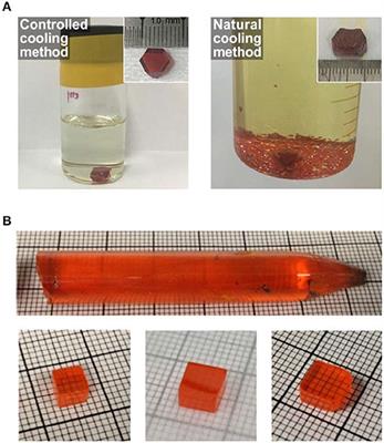 Development of Halide Perovskite Single Crystal for Radiation Detection Applications